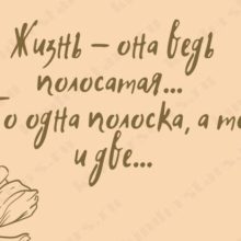 Вредные советы. Как общаться с беременными женщинами